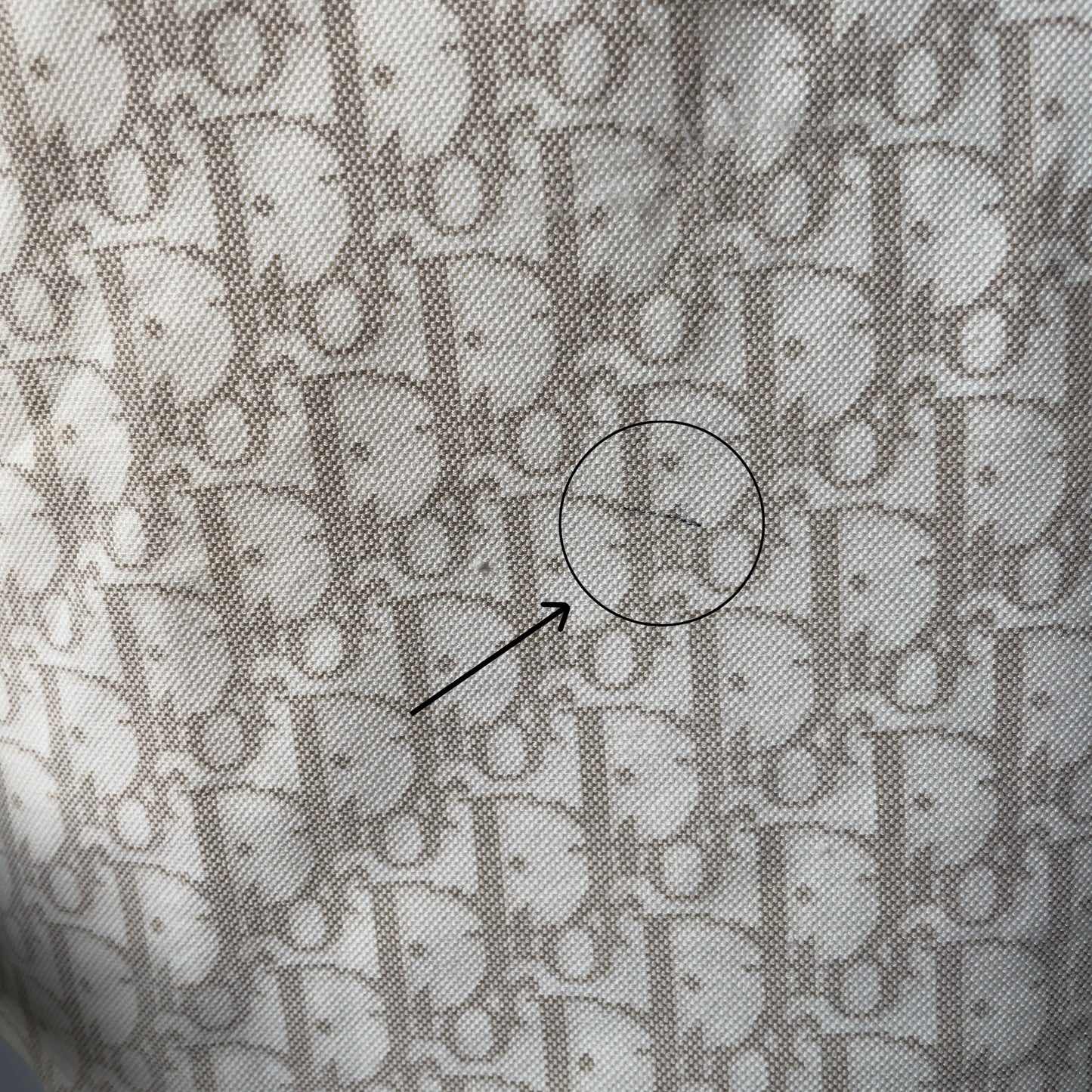 DIOR trotter monogram shirt (S/M)